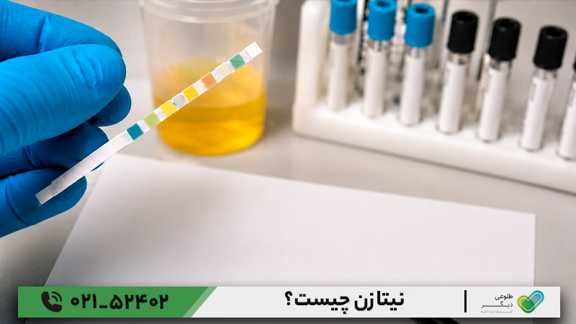 نیتازن چیست؟