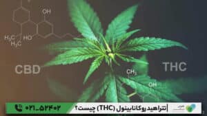 تتراهیدروکانابینول چیست