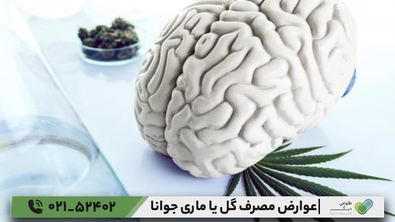 عوارض مصرف گل بر مغز