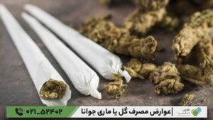 عوارض مصرف گل یا ماری جوانا