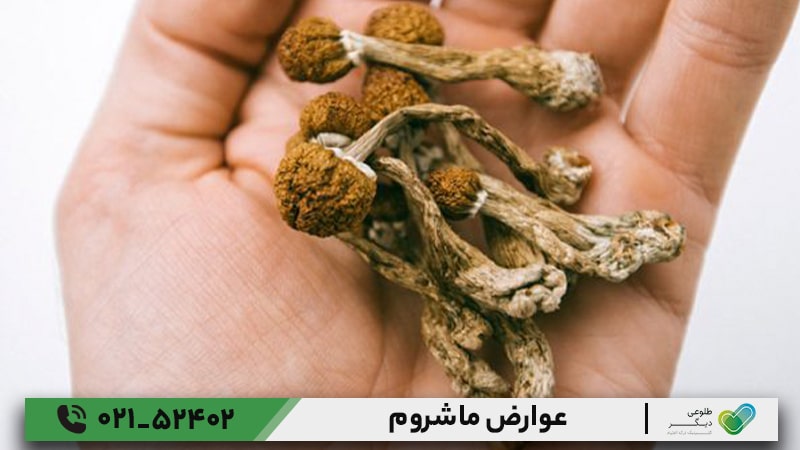 عوارض ماشروم
