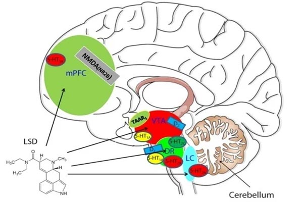 اعتیاد به ال اس دی (LSD)