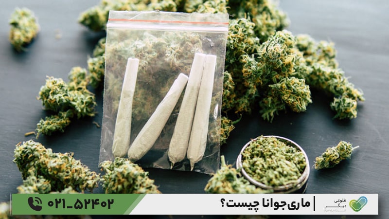 انواع ماریجوانا