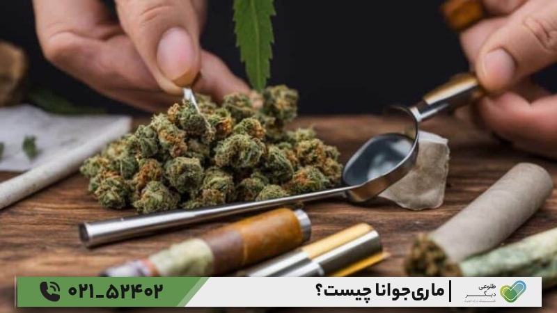 تاثیرات مصرف ماریجوانا
