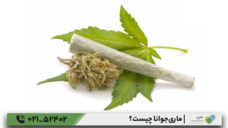 تاریخچه مصرف ماریجوانا