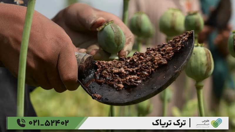 ترک تریاک