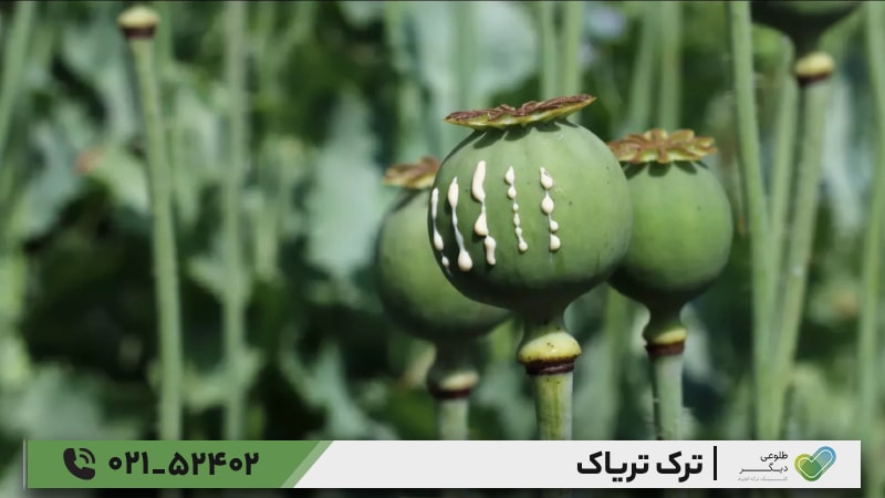 روش‌های ترک تریاک