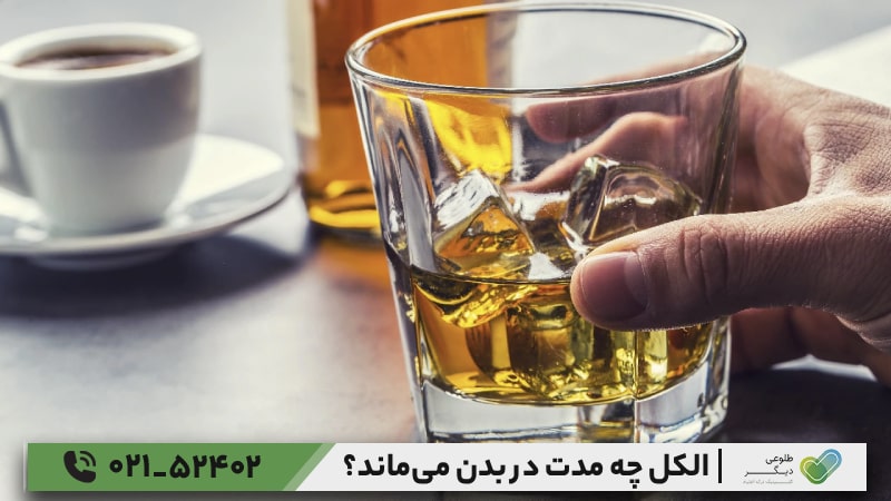 فرآیند جذب و متابولیسم الکل در بدن