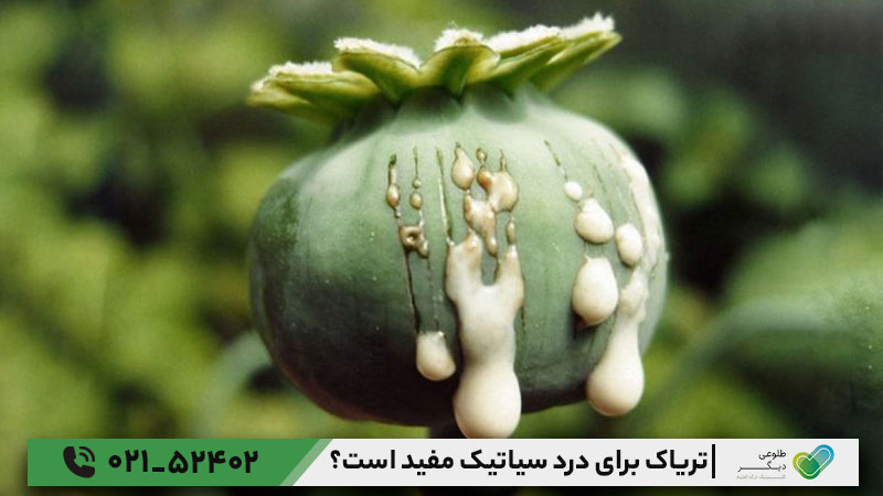 چرا تریاک درد سیاتیک را آرام می‌کند؟